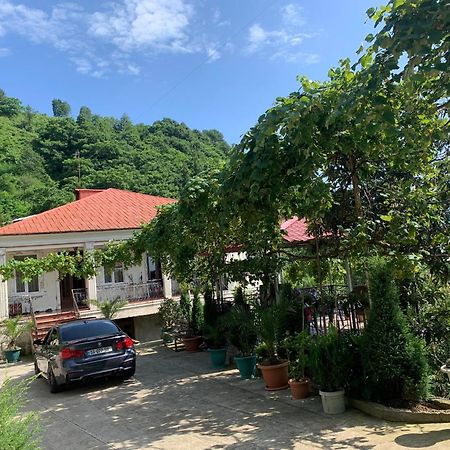 Guesthouse Mtsvane Koncxi 22 엠비즈엔 콘스키 외부 사진