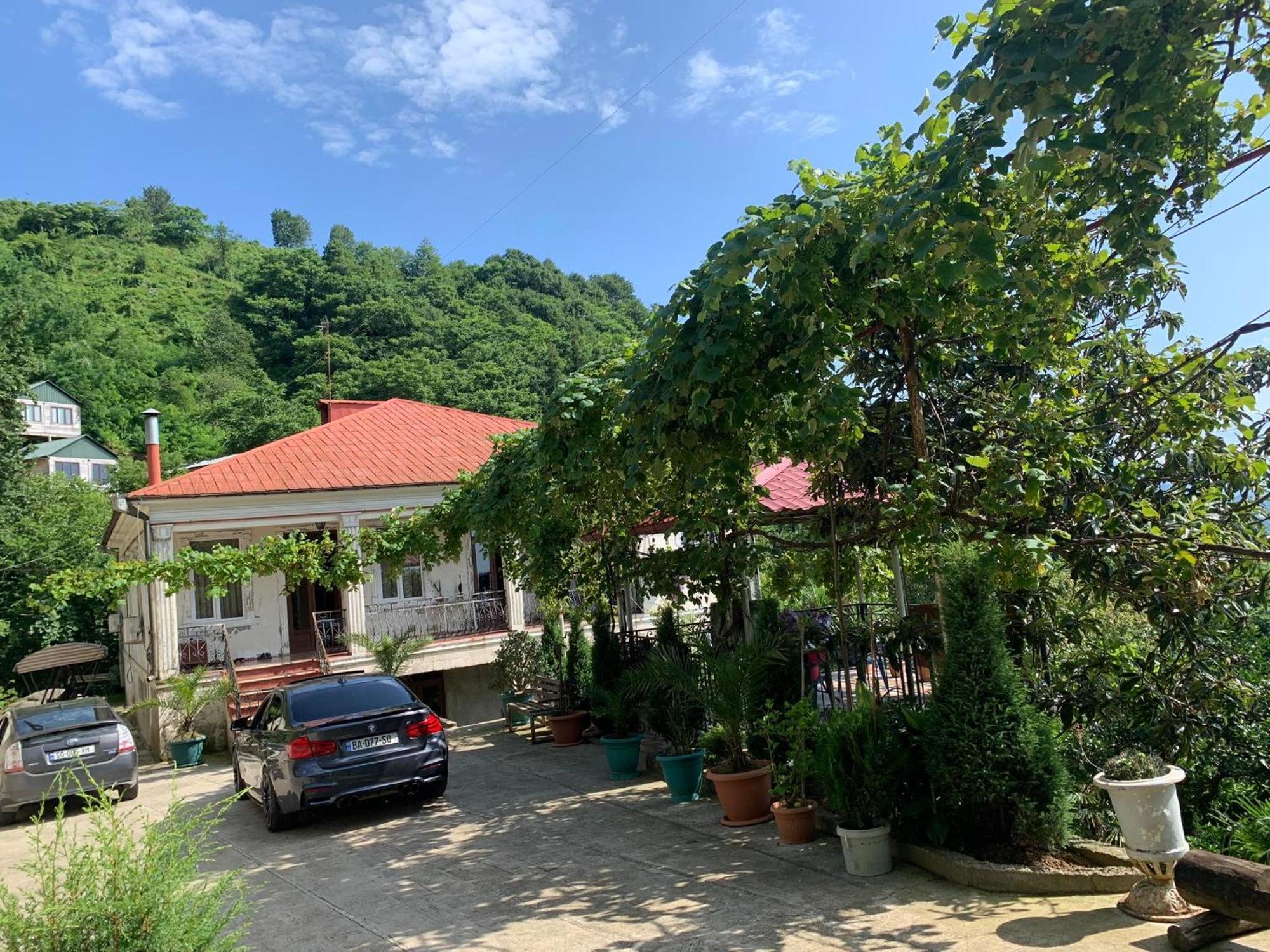 Guesthouse Mtsvane Koncxi 22 엠비즈엔 콘스키 외부 사진
