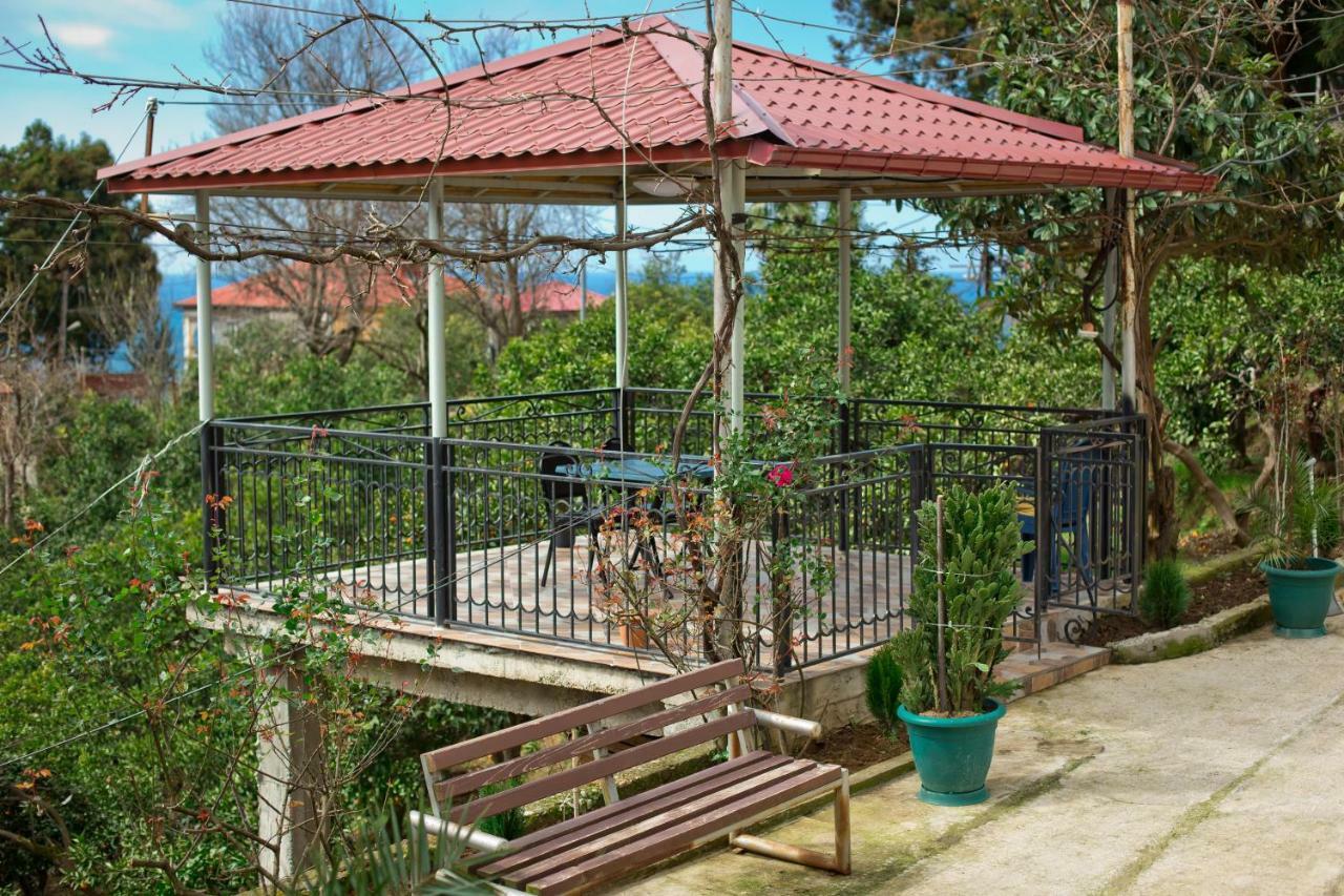 Guesthouse Mtsvane Koncxi 22 엠비즈엔 콘스키 외부 사진
